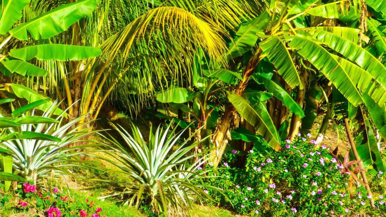 Villa Mouggae Blues Beau Vallon (Mahe)